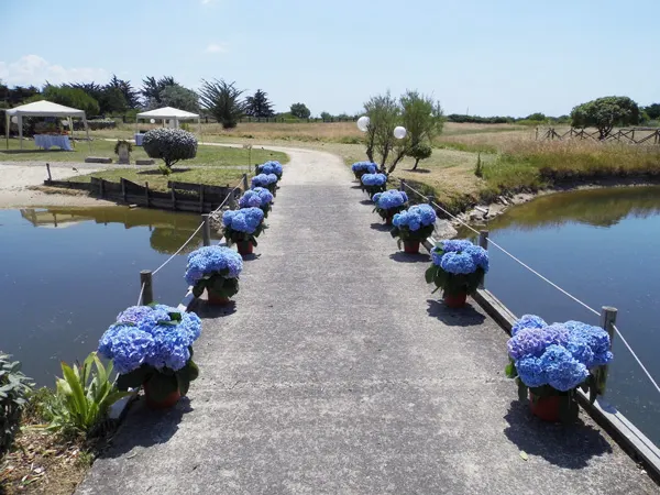 Ponton fleuri d'hortensias bleus au bord de l'eau